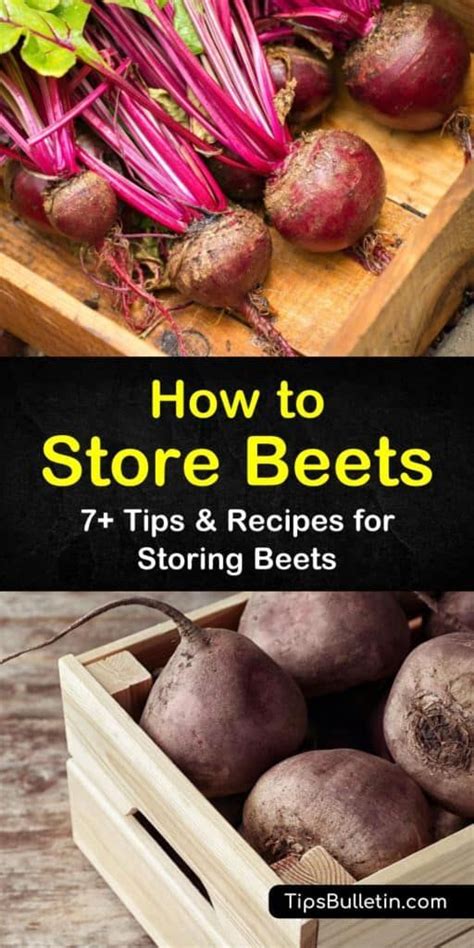 7 Handy Ways To Store Beets Beet Recipes Canning Recipes Veggie