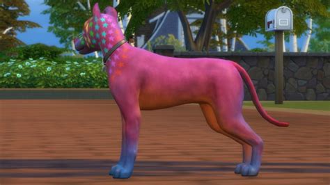 Mod The Sims Rocco Superstar Mixed Breed Dog Basenji Dog By