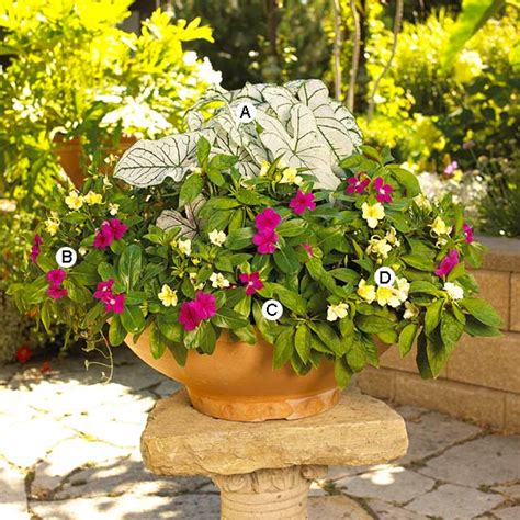 New Home Interior Design Container Garden Recipes For Shade