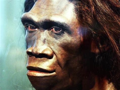 Dna Of Unknown Extinct Human Ancestor Species Found Genetic Literacy