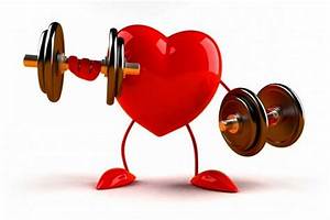 Human Heart And Health How To Keep A Healthy Heart And Heart Rate