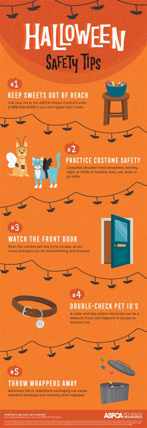 Halloween Pet Safety Tips Aspca Pet Health Insurance