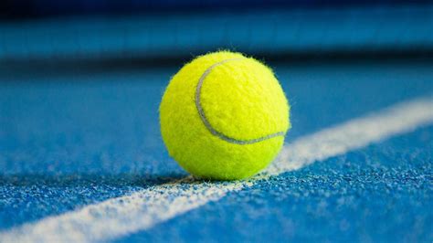 Tenisball Dunlop Tennis Ball Bag Ballkorb Schwarz Online Kaufen
