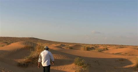 Man Standing In The Middle Of Desert · Free Stock Video