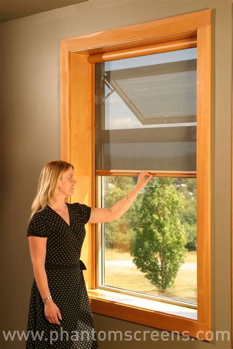 25 Retractable Screens For Awning Windows Photos