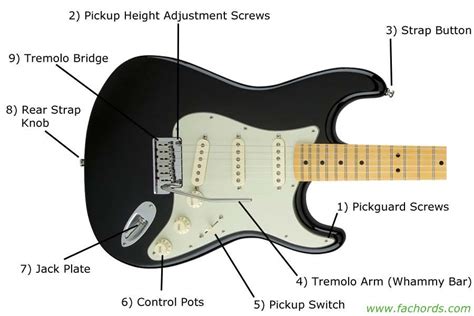 Guitar Parts Names Know The Parts Of Electric Guitar