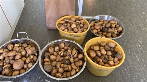 Öffnungszeiten, telefonnummer und weitere info. Minna-Specht-Gemeinschaftsschule - - die ...