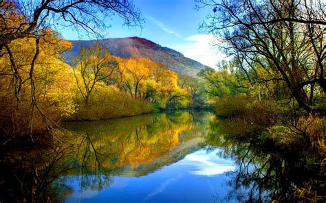 Fall River Peaceful Water Willow With Yellow Leaves Blue