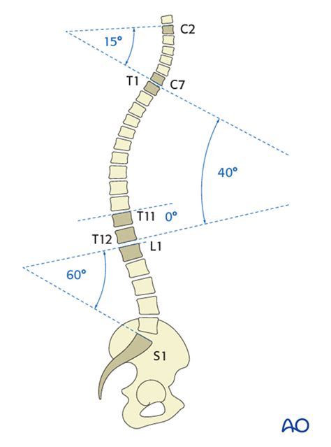 Sagittal Spinal Alignment