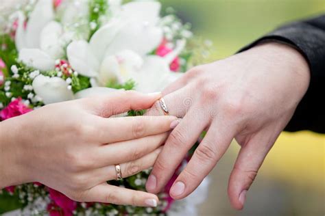 The Groom And The Bride Exchange Wedding Rings Stock Photo Image Of Romance Romantic