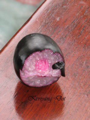 Siapapun tahu apa itu buah jambu. ♥with love♥: ..mandi hujan di petang hari..