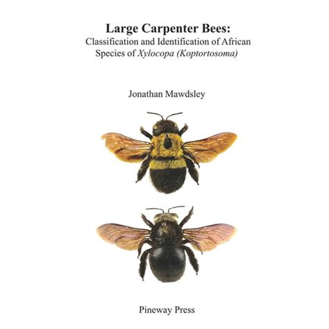 Large Carpenter Bees Classification And Identification Of African