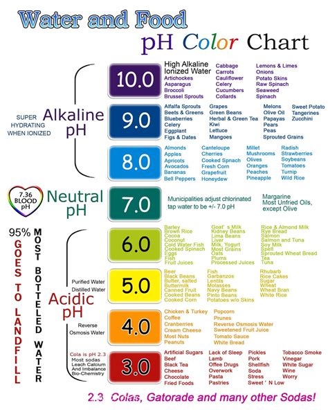 Water And Food Ph Color Chart Print 5x7 Etsy Food Coloring Chart Alkaline Foods Chart
