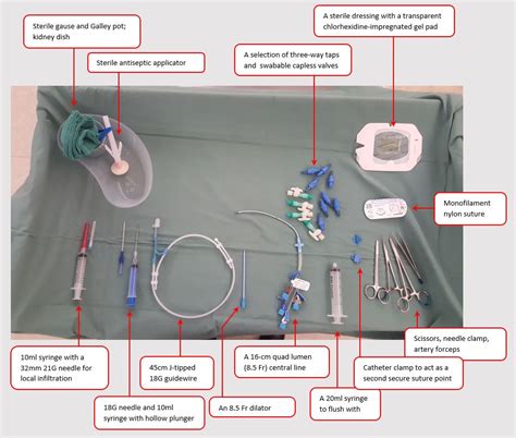 중심정맥관 삽입술central Venous Catheter Insertion 네이버 블로그