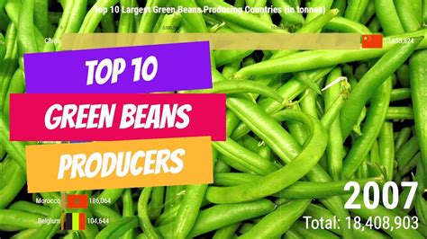 Top Green Beans Producing Countries In The World YouTube