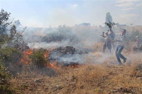 Türkiye'de 2020 yılı içerisinde 3 bin 413 orman yangını çıktı, 20 bin 938 hektar alan zarar gördü. 'Orman Yangınlarının Çıkartılması Ve Söndürülmemesi Ağır ...