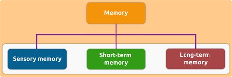 How The Human Memory Works