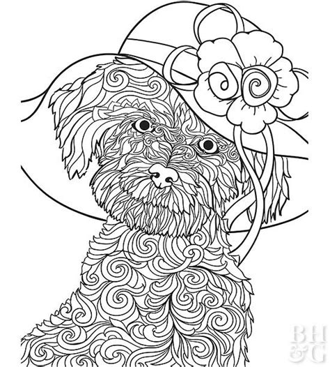 They're great for all ages. Pet Coloring Pages