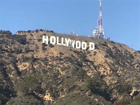 Odpolední Prohlídka Los Angeles Hollywoodu A Beverly Hills Getyourguide