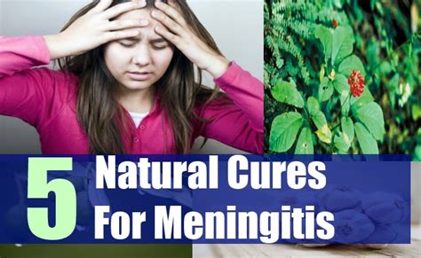 5 Natural Cures For Meningitis Natural Home Remedies And Supplements