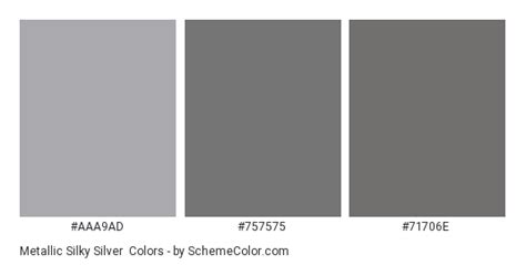 Metallic Silky Silver Color Scheme Gray