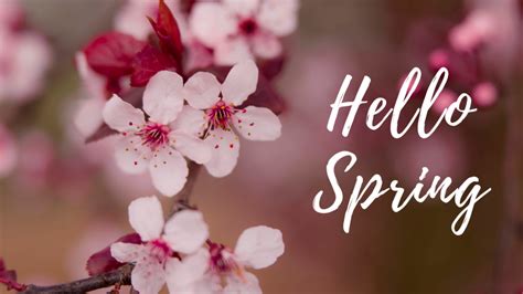 25 Greatest Hello Spring Desktop Wallpaper You Can Save It Without A