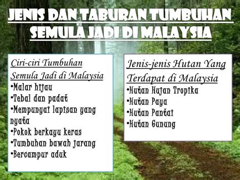 Potensi Tumbuh Tumbuhan Semula Jadi Di Malaysia