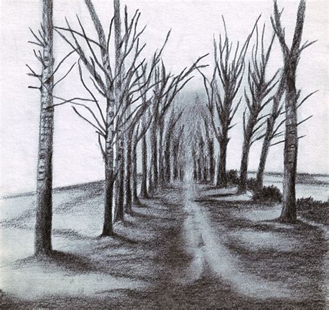 Sketch Of Trees Along A Road Perspective Cool Pencil Drawings Easy