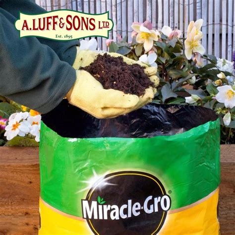 Miracle Gro Premium All Purpose Compost Ripley Nurseries Garden