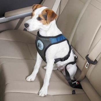 These harnesses usually function both as a dog seat belt and as a dog car harness. The Dog is Good Car Dog Harness adds style and support to ...