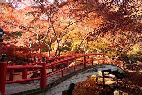 Gunma Autumn Foliage On Kajika Bridge Blog Travel Japan Japan