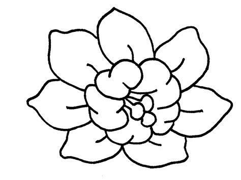 Visualizza altre idee su disegno fiori, ricamo, ricamo disegni. I DISEGNI PER BAMBINI, FIORI - by megghy.com