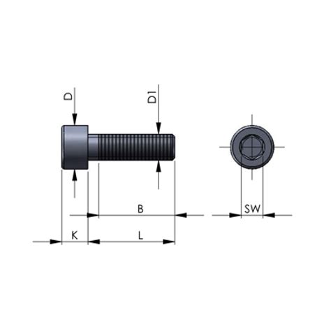 Hexagon Socket Head Cap Screws Ev 1 Din 912