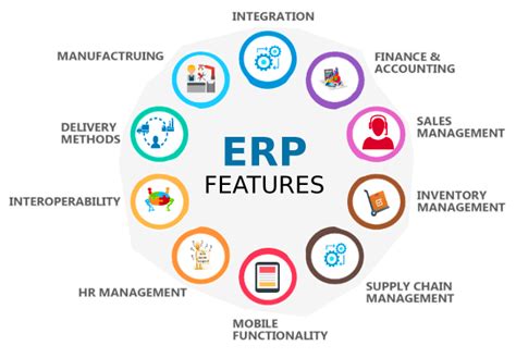 How Can Netsuite Erp Software Help Your Business Krafitis