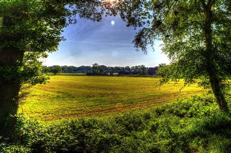 field, Trees, Nature, Landscape, Farm, Rustic Wallpapers ...