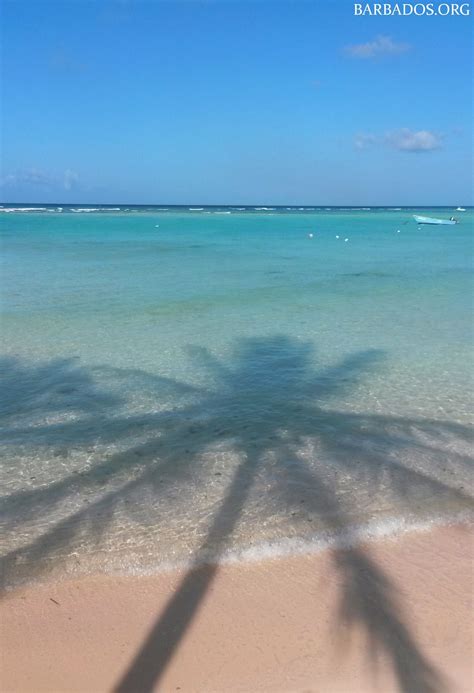 Tranquil Stlawrence Bay On The South Coast Of Barbados Tip This Is
