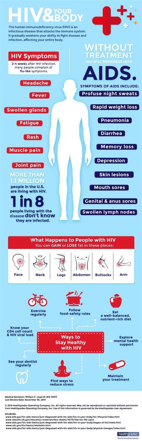 Hiv And Your Body