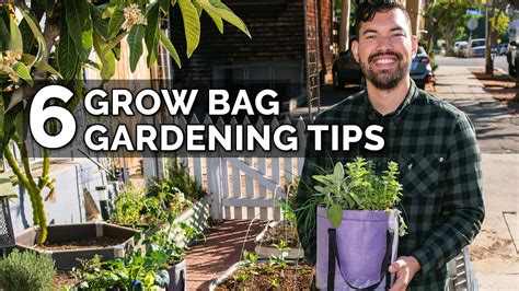 Epic Gardening 6 Secret Grow Bag Techniques To Maximize Your Results