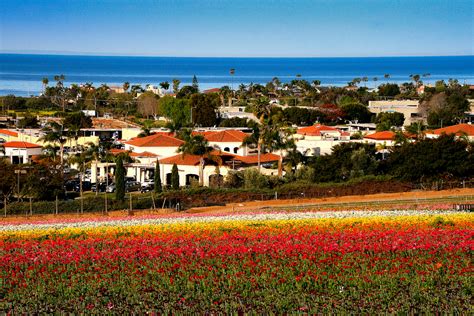 6 San Diego Suburbs With The Best Downtowns
