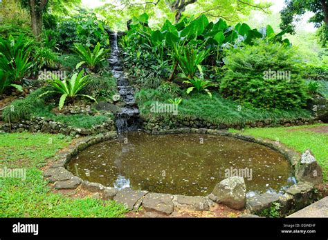 Water Feature In Allerton National Tropical Botanical Garden Within