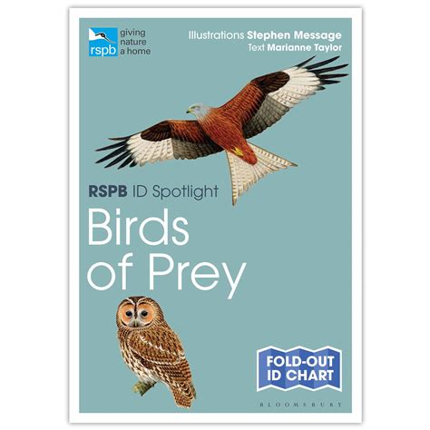 Birds Of Prey Identifier Chart Rspb Id Spotlight Series Rspb Shop
