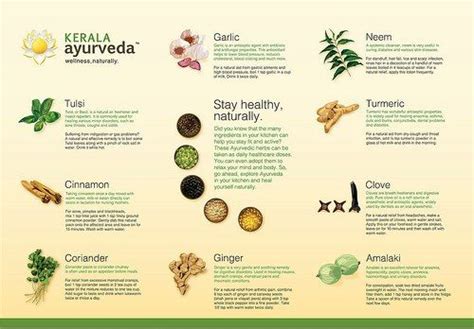 Ayurveda Ayurvedic Healing Ayurvedic Herbs Ayurveda