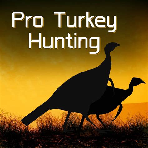 Pro Turkey Hunting Box Shot For Playstation 5 Gamefaqs