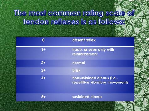 The Pulse And Deep Tendon Reflex Grading Scale