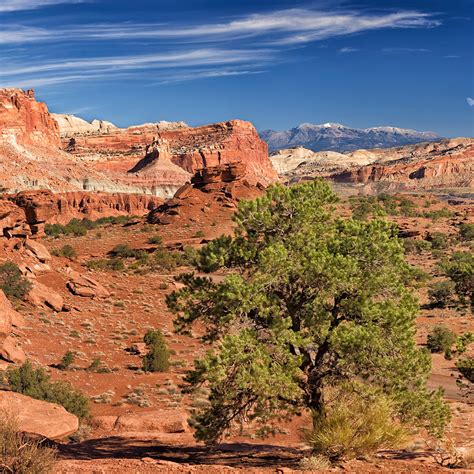 Panorama Point In Capitol Reef Np Ut