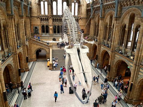 Check spelling or type a new query. Family London: tips for visiting the Natural History ...