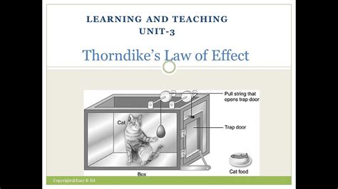 He formulated the basic law of operant learning, the law of effect. Thorndike's Law of Effect - Trial and Error Learning - YouTube