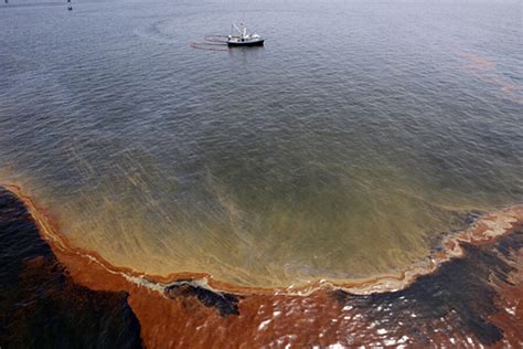 Bp Fined 45 Billion In Gulf Oil Spill Is It Enough