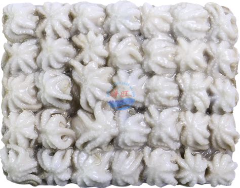 Always check the legs for bands. Octopus Whole Clean - Haiwang