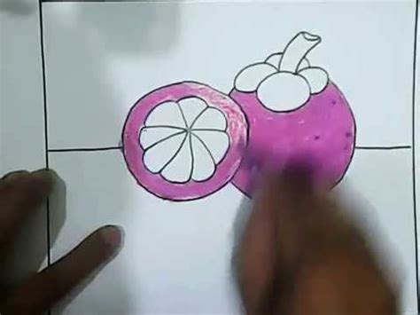 4 sketsa gambar kelinci untuk kolase. Gambar Buah Manggis Untuk Mewarnai